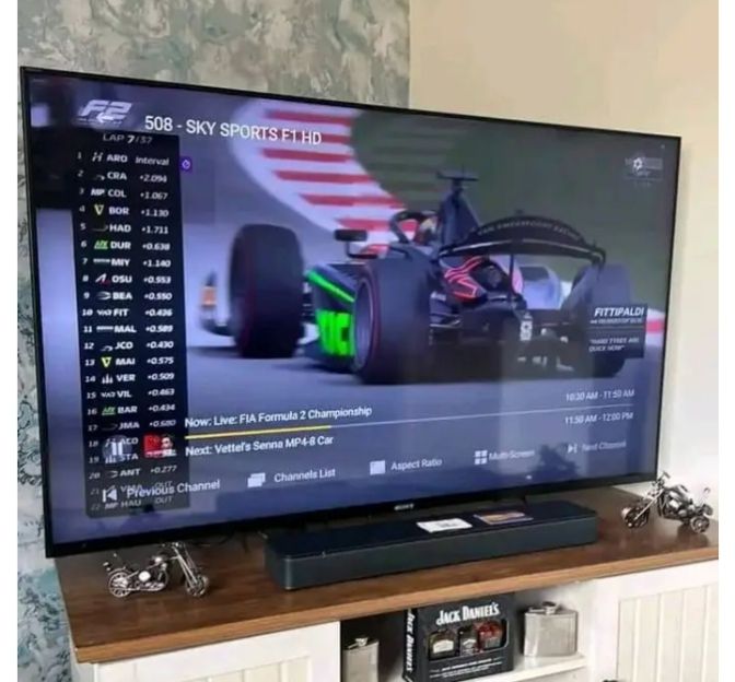 Television viewing example accompanying Carlos M. sample review